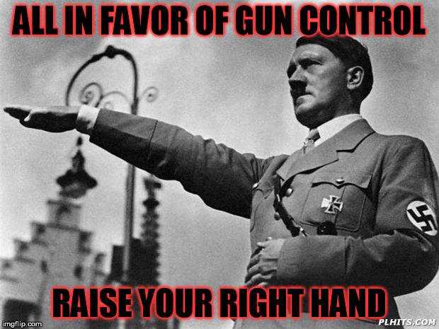 Be like Hitler support gun control! | ALL IN FAVOR OF GUN CONTROL RAISE YOUR RIGHT HAND | image tagged in hitler,gun control,2nd amendment | made w/ Imgflip meme maker
