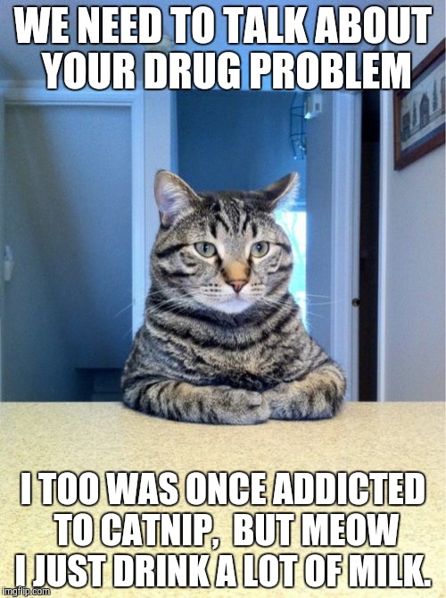 Take A Seat Cat | WE NEED TO TALK ABOUT YOUR DRUG PROBLEM I TOO WAS ONCE ADDICTED TO CATNIP,  BUT MEOW I JUST DRINK A LOT OF MILK. | image tagged in memes,take a seat cat | made w/ Imgflip meme maker