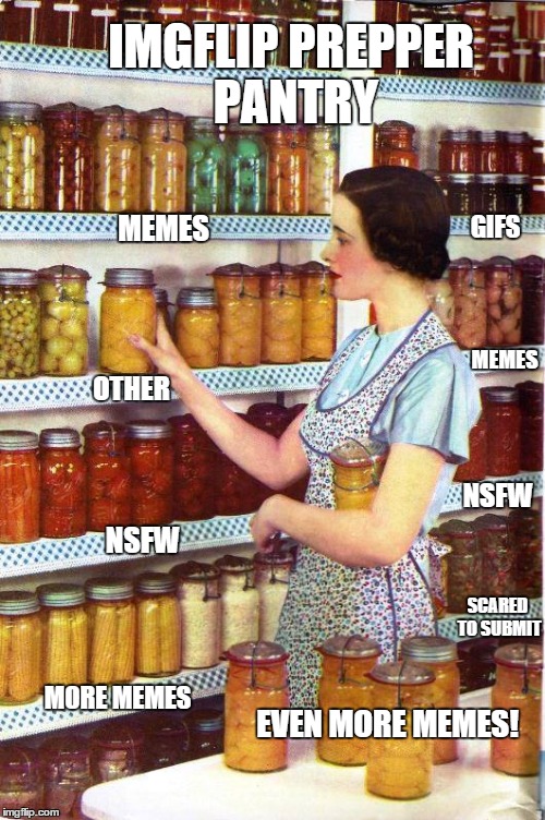 Stockpiling memes for those tough times when you can't think of anything funny ,sarcastic or profound :) | IMGFLIP PREPPER PANTRY MEMES GIFS OTHER NSFW MEMES NSFW MORE MEMES EVEN MORE MEMES! SCARED TO SUBMIT | image tagged in memes,prepare yourself,prepper,funny memes | made w/ Imgflip meme maker