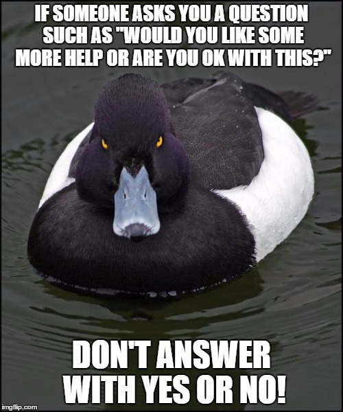 hi res angry advice mallard | IF SOMEONE ASKS YOU A QUESTION SUCH AS "WOULD YOU LIKE SOME MORE HELP OR ARE YOU OK WITH THIS?" DON'T ANSWER WITH YES OR NO! | image tagged in hi res angry advice mallard,AdviceAnimals | made w/ Imgflip meme maker
