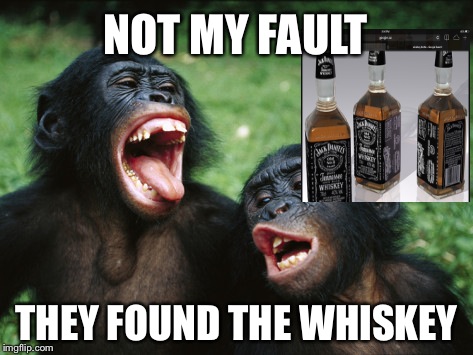 Bonobo Lyfe Meme | NOT MY FAULT THEY FOUND THE WHISKEY | image tagged in memes,bonobo lyfe | made w/ Imgflip meme maker