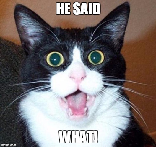 HE SAID WHAT! | made w/ Imgflip meme maker