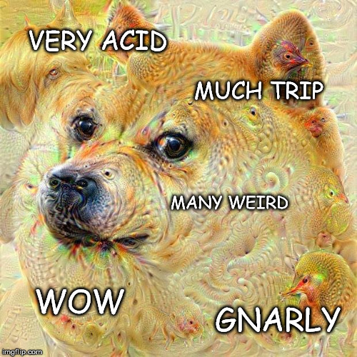 VERY ACID MUCH TRIP MANY WEIRD WOW GNARLY | made w/ Imgflip meme maker