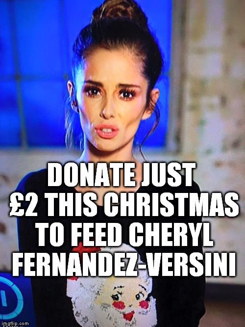 Cheryl Fernandez-Versini  | DONATE JUST £2 THIS CHRISTMAS TO FEED CHERYL FERNANDEZ-VERSINI | image tagged in cheryl fernandez versini x-factor,anorexia,charity | made w/ Imgflip meme maker