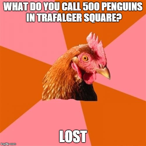 Anti Joke Chicken Meme | WHAT DO YOU CALL 500 PENGUINS IN TRAFALGER SQUARE? LOST | image tagged in memes,anti joke chicken | made w/ Imgflip meme maker