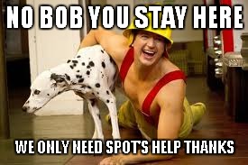 NO BOB YOU STAY HERE WE ONLY NEED SPOT'S HELP THANKS | made w/ Imgflip meme maker