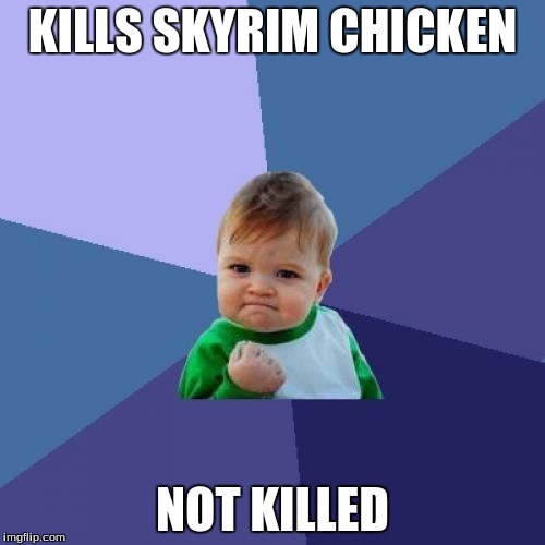 Success Kid | KILLS SKYRIM CHICKEN NOT KILLED | image tagged in memes,success kid | made w/ Imgflip meme maker