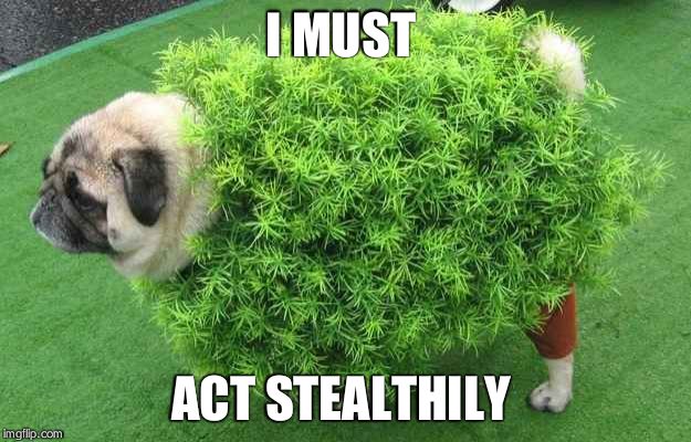 Bush pug | I MUST ACT STEALTHILY | image tagged in bush pug | made w/ Imgflip meme maker