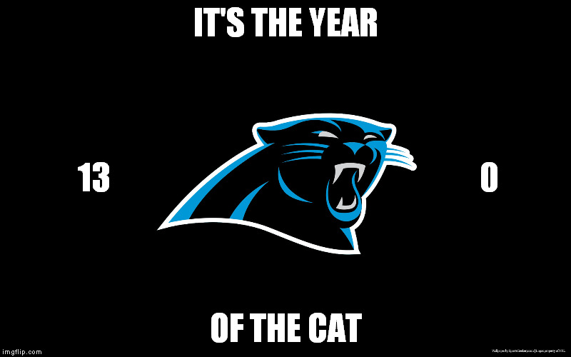 Carolina Panthers | IT'S THE YEAR OF THE CAT 13 0 | image tagged in undefeated,nfl,carolina panthers | made w/ Imgflip meme maker