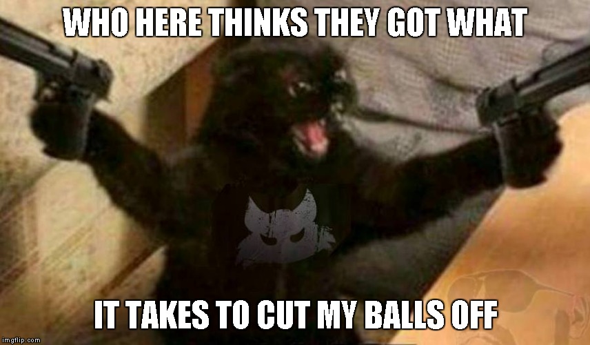 WHO HERE THINKS THEY GOT WHAT IT TAKES TO CUT MY BALLS OFF | made w/ Imgflip meme maker