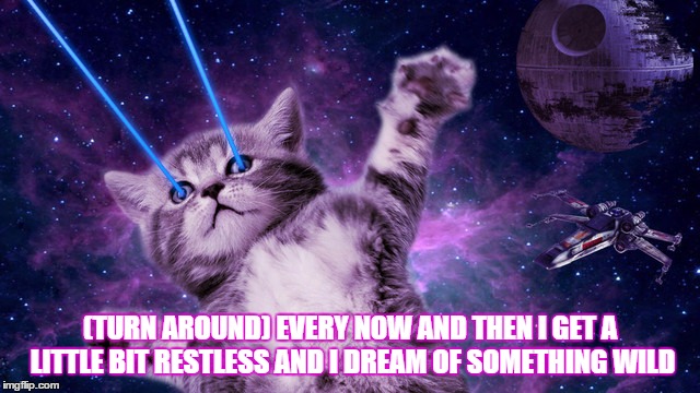 (TURN AROUND)
EVERY NOW AND THEN
I GET A LITTLE BIT RESTLESS
AND I DREAM OF SOMETHING WILD | image tagged in ray cat | made w/ Imgflip meme maker