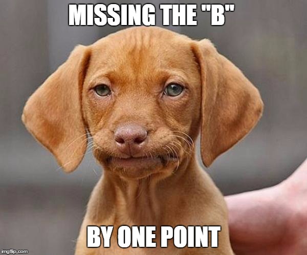This Happens All the Time | MISSING THE "B" BY ONE POINT | image tagged in dogs,school,grades,mad | made w/ Imgflip meme maker