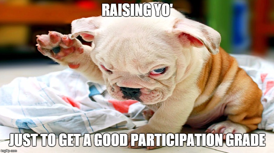 RAISING YO' JUST TO GET A GOOD PARTICIPATION GRADE | image tagged in school,annoyed dog,annoying | made w/ Imgflip meme maker