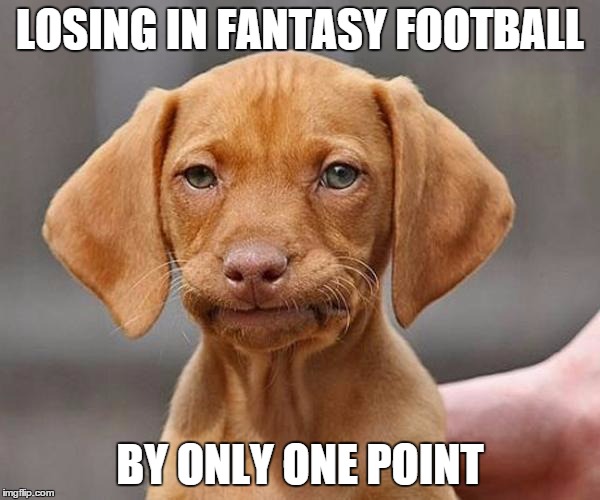 LOSING IN FANTASY FOOTBALL BY ONLY ONE POINT | image tagged in dogs,fantasy football,that feeling when | made w/ Imgflip meme maker