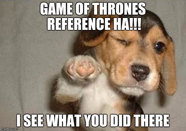 HA! | GAME OF THRONES REFERENCE HA!!! I SEE WHAT YOU DID THERE | image tagged in pointing puppy | made w/ Imgflip meme maker