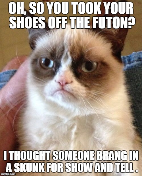 Grumpy Cat | OH, SO YOU TOOK YOUR SHOES OFF THE FUTON? I THOUGHT SOMEONE BRANG IN A SKUNK FOR SHOW AND TELL . | image tagged in memes,grumpy cat | made w/ Imgflip meme maker