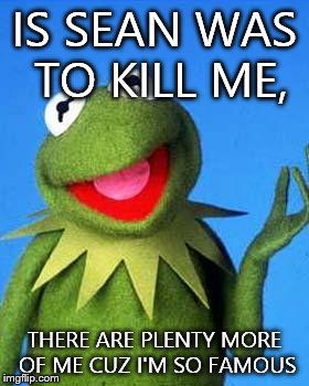 Kermit the Frog Meme | IS SEAN WAS TO KILL ME, THERE ARE PLENTY MORE OF ME CUZ I'M SO FAMOUS | image tagged in kermit the frog meme | made w/ Imgflip meme maker