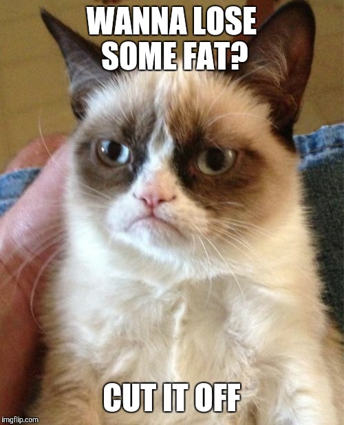 Grumpy Cat Meme | WANNA LOSE SOME FAT? CUT IT OFF | image tagged in memes,grumpy cat | made w/ Imgflip meme maker