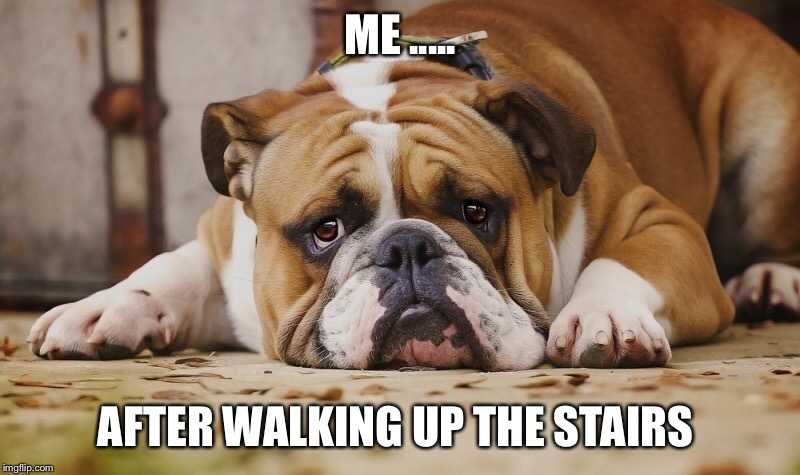 Life  | ME ..... AFTER WALKING UP THE STAIRS | image tagged in memes,fat,exercise,life,diet,dieting | made w/ Imgflip meme maker