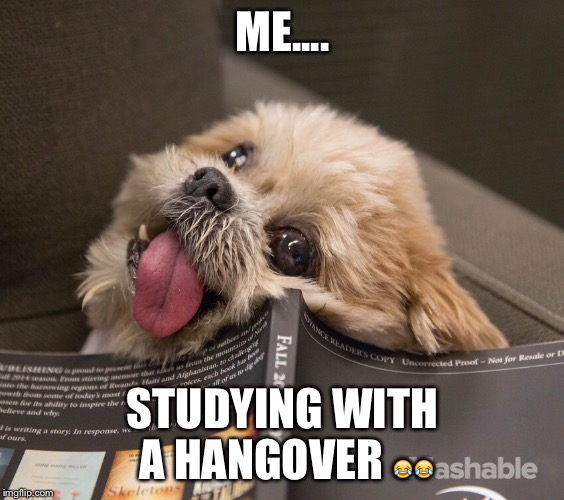 FML  | ME.... STUDYING WITH A HANGOVER  | image tagged in studying | made w/ Imgflip meme maker