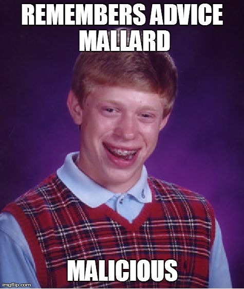 Bad Luck Brian Meme | REMEMBERS ADVICE MALLARD MALICIOUS | image tagged in memes,bad luck brian,AdviceAnimals | made w/ Imgflip meme maker