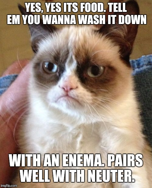 Grumpy Cat Meme | YES, YES ITS FOOD. TELL EM YOU WANNA WASH IT DOWN WITH AN ENEMA. PAIRS WELL WITH NEUTER. | image tagged in memes,grumpy cat | made w/ Imgflip meme maker