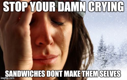 1st World Canadian Problems | STOP YOUR DAMN CRYING SANDWICHES DONT MAKE THEM SELVES | image tagged in memes,1st world canadian problems | made w/ Imgflip meme maker