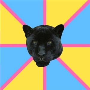 Pansexual Panter Blank Meme Template