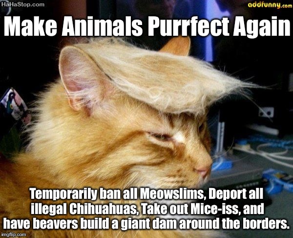 Make Animals Grrrrrreat Again | Make Animals Purrfect Again Temporarily ban all Meowslims, Deport all illegal Chihuahuas, Take out Mice-iss, and have beavers build a giant  | image tagged in donald trump cat,austin partida,28dayslate,trump2016,make america great again | made w/ Imgflip meme maker