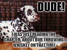 DUDE! I WAS JUST READING THE CHAPTER, ABOUT BOB THROWING WHISKEY ON THAT FIRE! | made w/ Imgflip meme maker