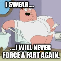 I SWEAR.... ....I WILL NEVER FORCE A FART AGAIN. | made w/ Imgflip meme maker