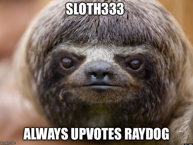So true... | SLOTH333 ALWAYS UPVOTES RAYDOG | image tagged in sloth | made w/ Imgflip meme maker
