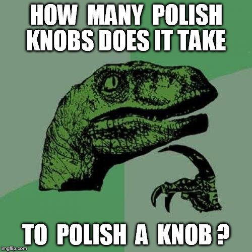 Philosoraptor Meme | HOW  MANY  POLISH KNOBS DOES IT TAKE TO  POLISH  A  KNOB ? | image tagged in memes,philosoraptor | made w/ Imgflip meme maker