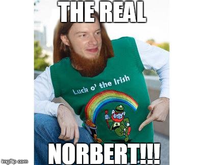 The Real Norbert | THE REAL NORBERT!!! | image tagged in norbert,irish,leprechaun,pot of gold,rainbow,ginger | made w/ Imgflip meme maker