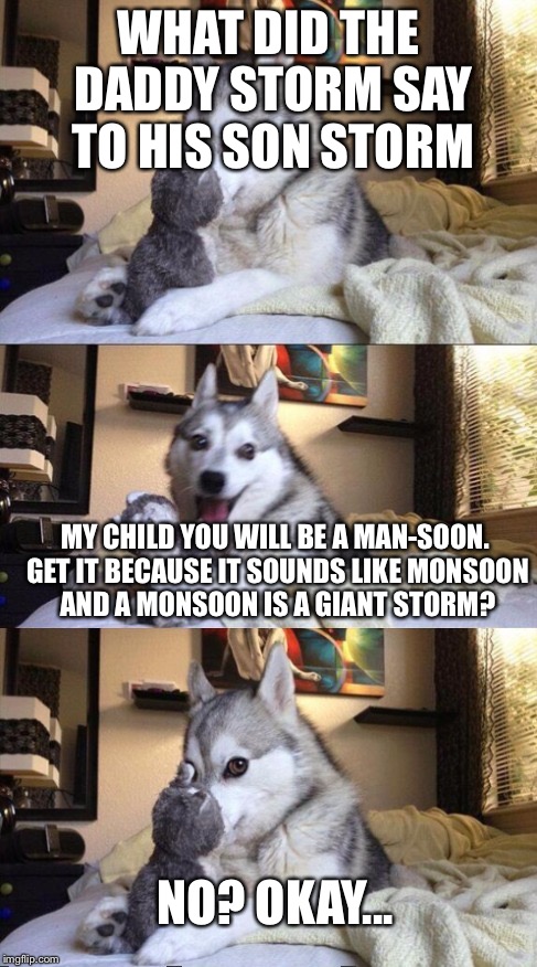I'm Bad at Puns Dog | WHAT DID THE DADDY STORM SAY TO HIS SON STORM MY CHILD YOU WILL BE A MAN-SOON. GET IT BECAUSE IT SOUNDS LIKE MONSOON AND A MONSOON IS A GIAN | image tagged in i'm bad at puns dog | made w/ Imgflip meme maker