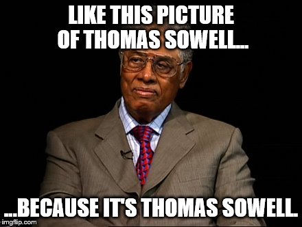 Thomas Sowell | LIKE THIS PICTURE OF THOMAS SOWELL... ...BECAUSE IT'S THOMAS SOWELL. | image tagged in thomas sowell | made w/ Imgflip meme maker