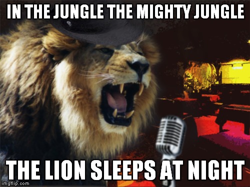 IN THE JUNGLE THE MIGHTY JUNGLE THE LION SLEEPS AT NIGHT | made w/ Imgflip meme maker