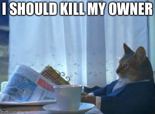 I Should Buy A Boat Cat | I SHOULD KILL MY OWNER | image tagged in memes,i should buy a boat cat | made w/ Imgflip meme maker