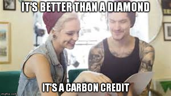 Hipsters in love | IT'S BETTER THAN A DIAMOND IT'S A CARBON CREDIT | image tagged in hipster couple,being single is too mainstream,diamonds are forever,just like your carbon footprint | made w/ Imgflip meme maker