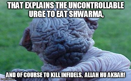 "Brain Dog" | THAT EXPLAINS THE UNCONTROLLABLE URGE TO EAT SHWARMA, AND OF COURSE TO KILL INFIDELS,  ALLAH HU AKBAR! | image tagged in brain dog | made w/ Imgflip meme maker