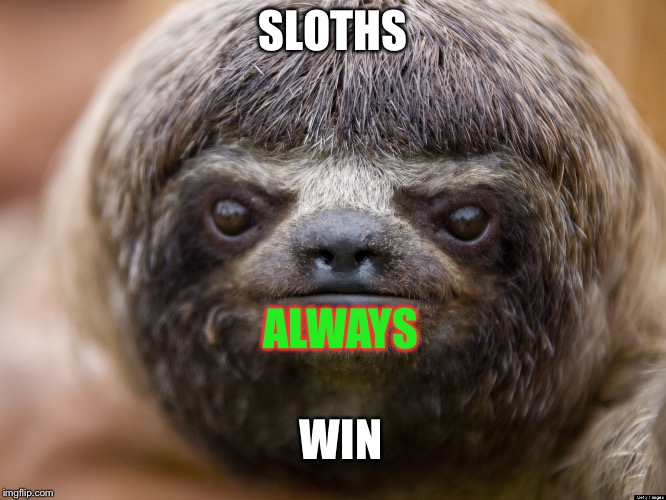 SLOTHS ALWAYS WIN | image tagged in sloth | made w/ Imgflip meme maker