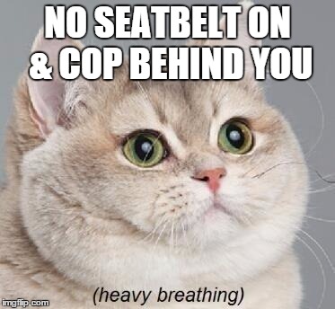 Heavy Breathing Cat | NO SEATBELT ON & COP BEHIND YOU | image tagged in memes,heavy breathing cat | made w/ Imgflip meme maker