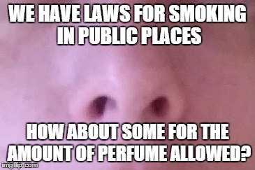 Perfume Laws | WE HAVE LAWS FOR SMOKING IN PUBLIC PLACES HOW ABOUT SOME FOR THE AMOUNT OF PERFUME ALLOWED? | image tagged in perfume laws,perfume,stinky perfume,smoking,annoying | made w/ Imgflip meme maker