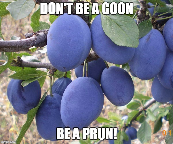 Don't be a goon | DON'T BE A GOON BE A PRUN! | image tagged in prun,goon | made w/ Imgflip meme maker