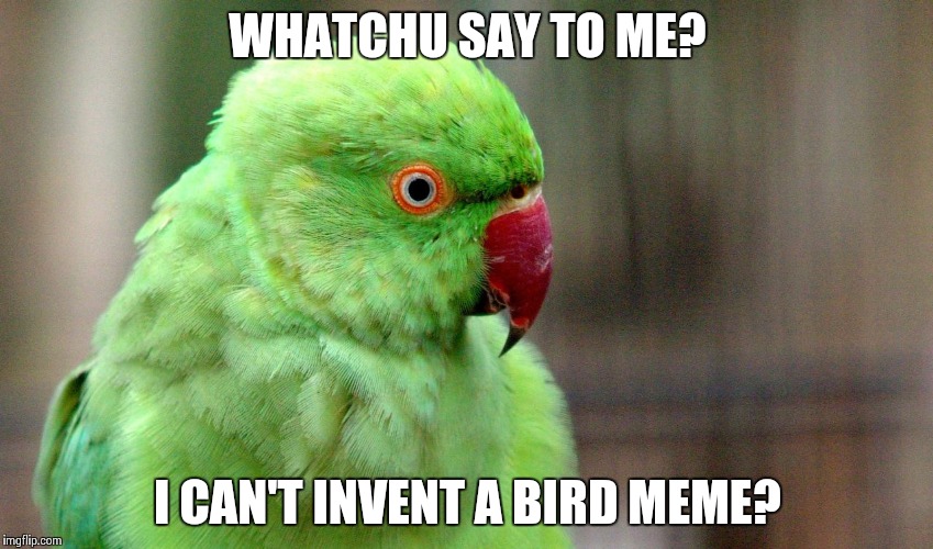 Whatchu Say To Me Bird | WHATCHU SAY TO ME? I CAN'T INVENT A BIRD MEME? | image tagged in whatchu say to me bird | made w/ Imgflip meme maker