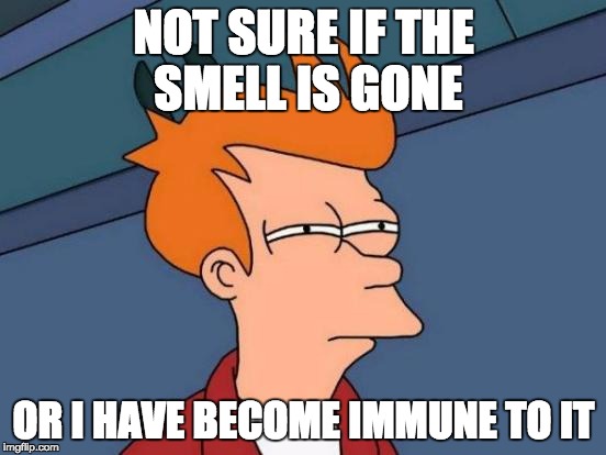 Futurama Fry | NOT SURE IF THE SMELL IS GONE OR I HAVE BECOME IMMUNE TO IT | image tagged in memes,futurama fry | made w/ Imgflip meme maker