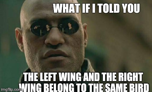 Matrix Morpheus | WHAT IF I TOLD YOU THE LEFT WING AND THE RIGHT WING BELONG TO THE SAME BIRD | image tagged in memes,matrix morpheus | made w/ Imgflip meme maker