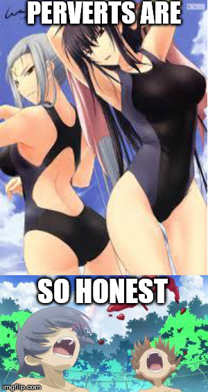 perverts | PERVERTS ARE SO HONEST | image tagged in swimsuits,nosebleed,perverts,hot,honesty,paradise | made w/ Imgflip meme maker