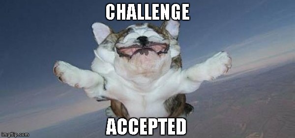 CHALLENGE ACCEPTED | made w/ Imgflip meme maker