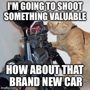 A cat that will shoot your new car | I'M GOING TO SHOOT SOMETHING VALUABLE HOW ABOUT THAT BRAND NEW CAR | image tagged in cat with gun | made w/ Imgflip meme maker